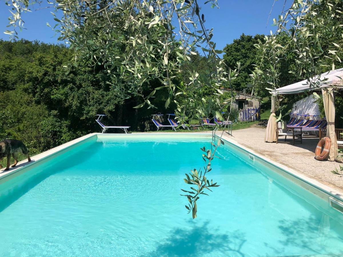 בורגו סן לורנצו Ala Di Maniero In Agriturismo Valdrago In Toscana, Nel Verde Mugello Sulle Colline Di Firenze מראה חיצוני תמונה